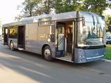 maz-203-mims.jpg