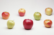 apples.jpg
