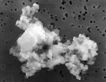 dust.jpg