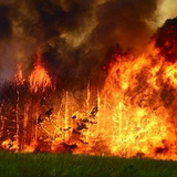 11_fire.jpg