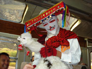 �������� ���������� � ���� ����������� ������� �����������&nbsp;[������� ��� ����������]