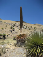 �������� ���������� � ���� ����������� ������� �����������&nbsp;[������� ��� ����������]