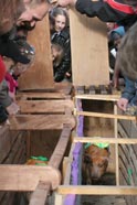 �������� 2006� � ��������, 6 �������.&nbsp;[������� ��� ����������]
